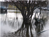 Flooded Street 2