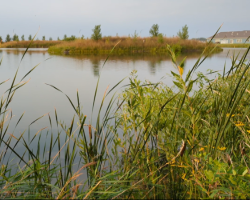 thumbnail_Screenshot_20250415-133604~2