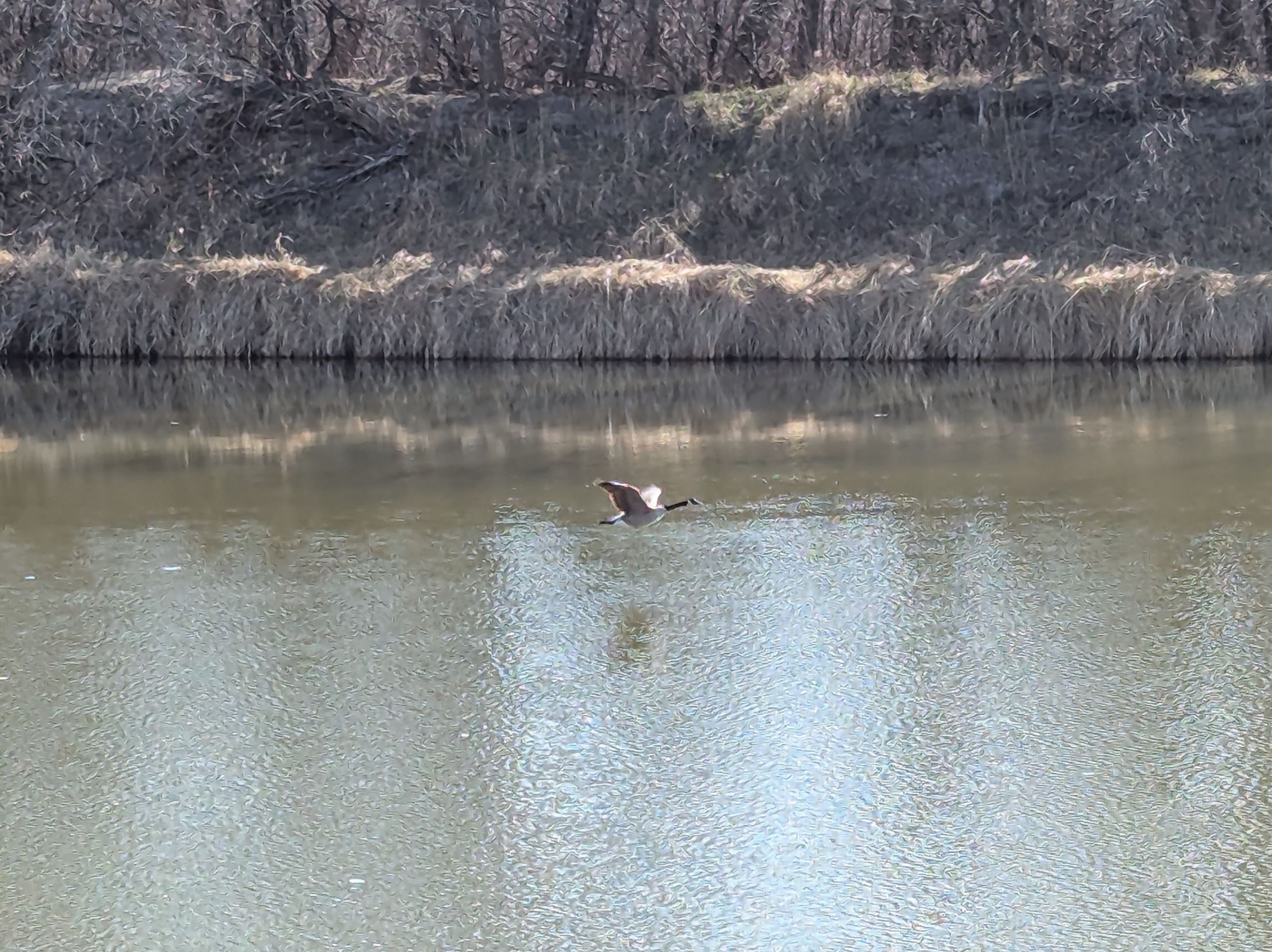 PXL_20250424_150000841