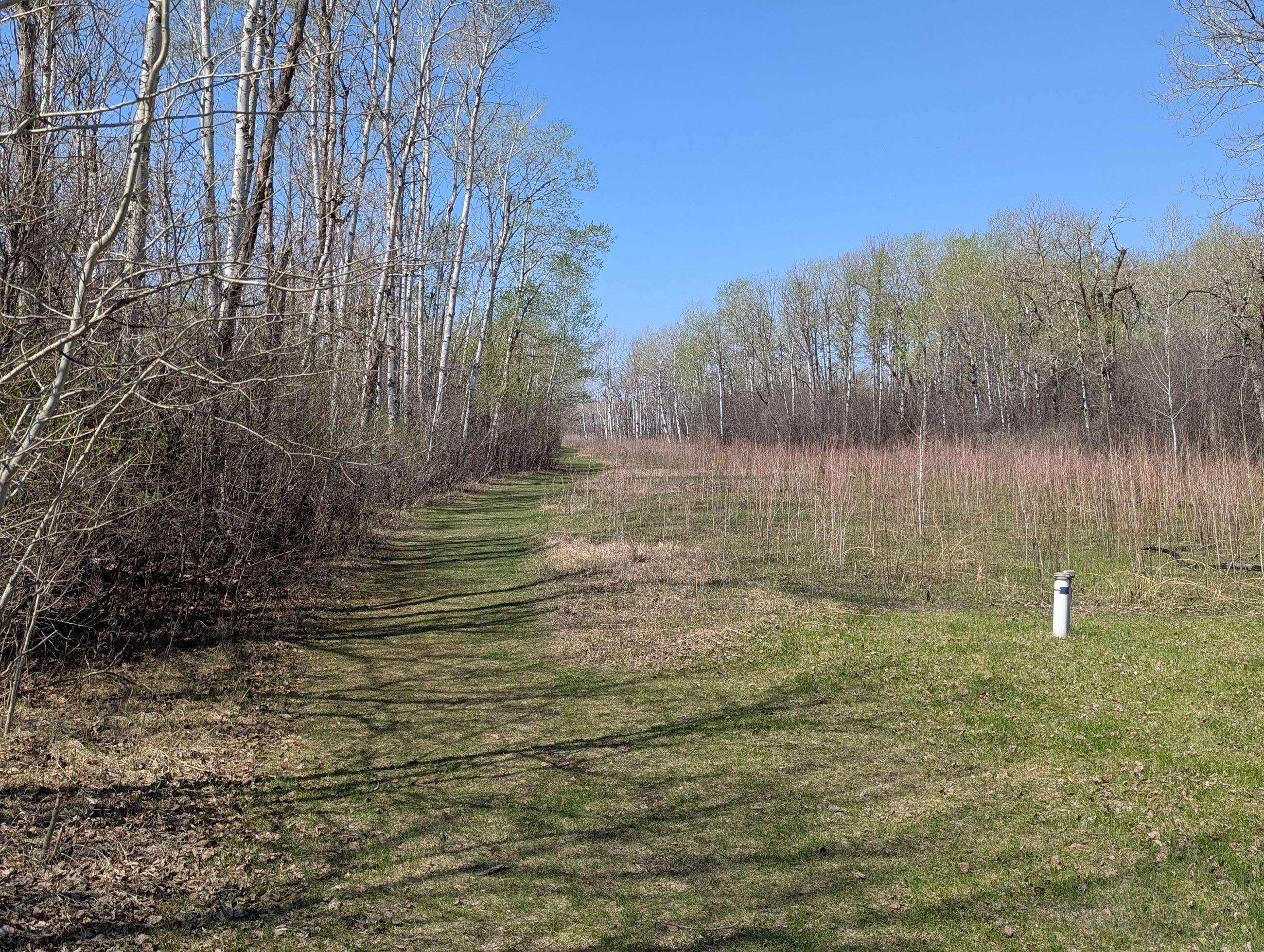 PXL_20250505_164152195