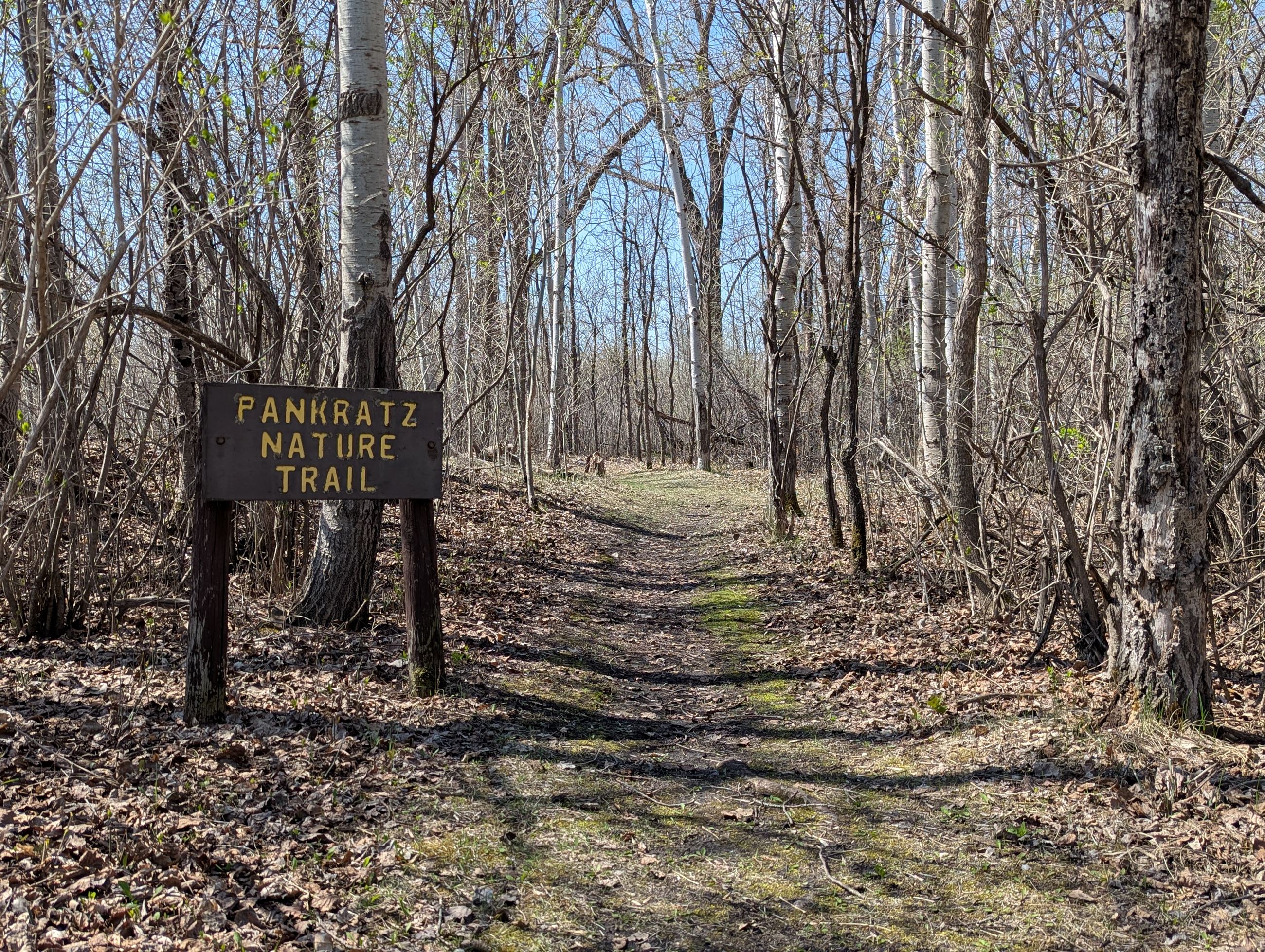 PXL_20250505_164138027