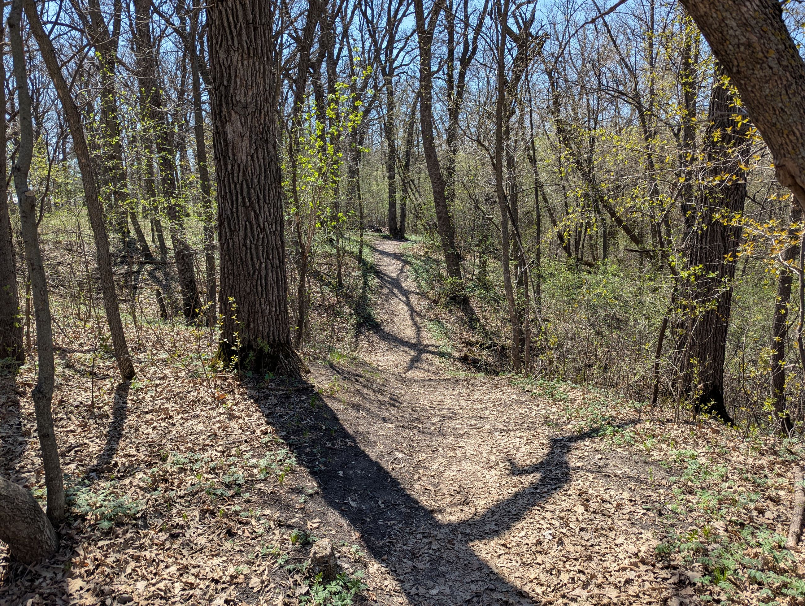 PXL_20250505_192007750