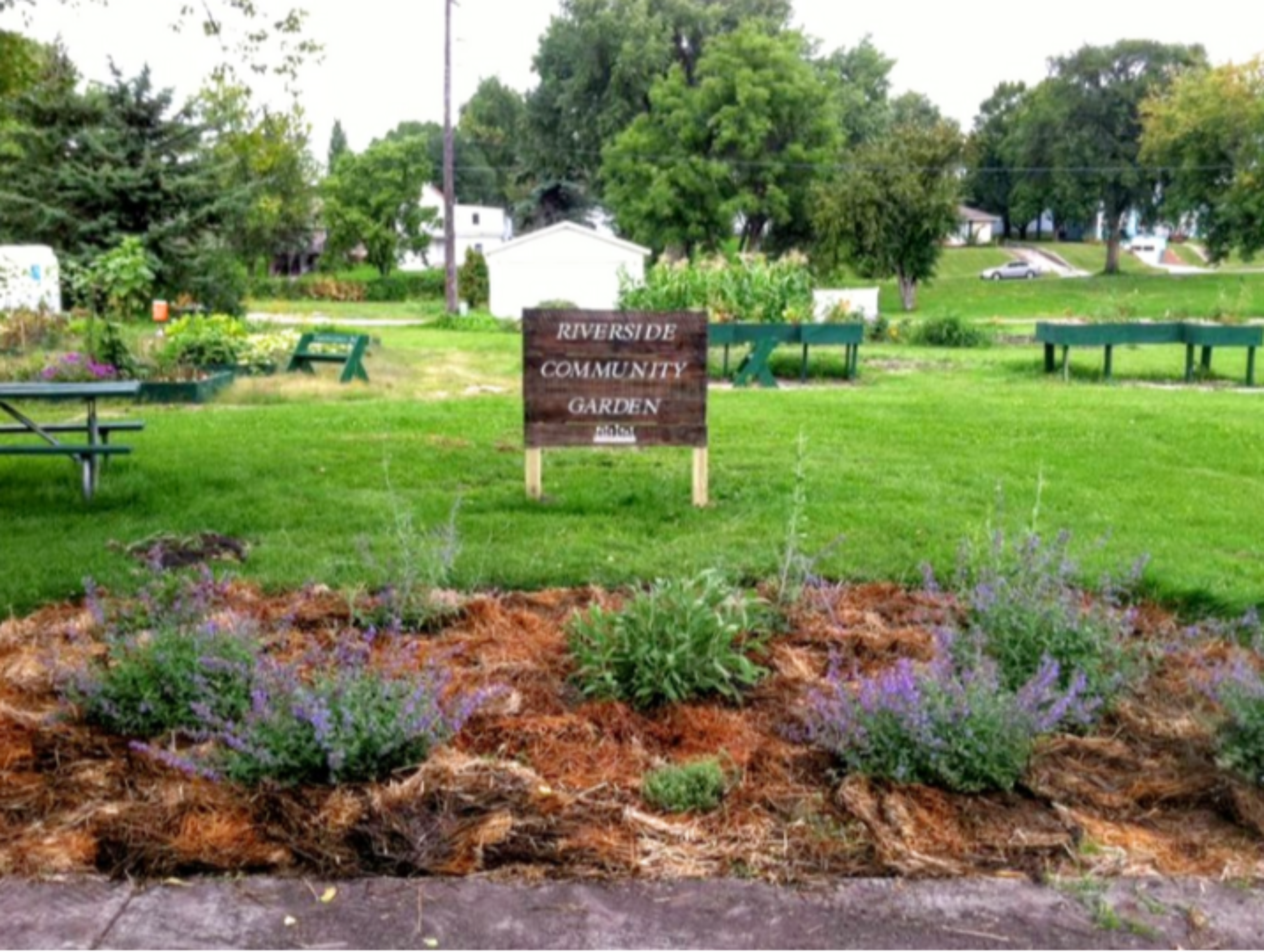 Screenshot 2025-05-07 130408