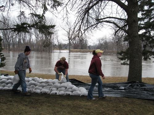 People Working on Flood