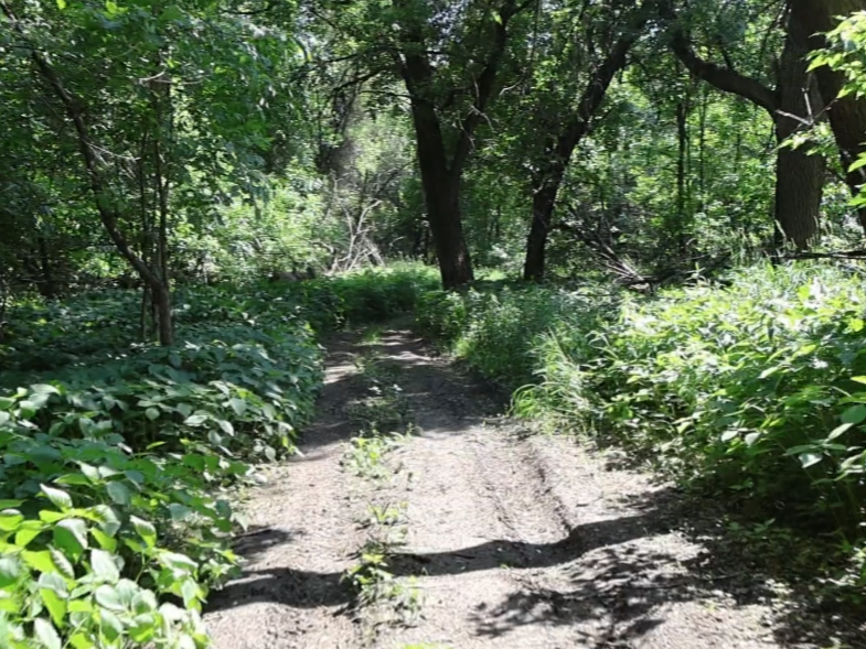 Screenshot_20250707-094244